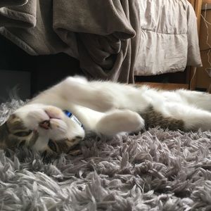 Meet your Posher, Merryn